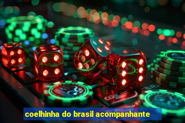 coelhinha do brasil acompanhante